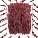 Wavwavw 100 Pcs Pressed Dried Eucalyptus Leaves 6 Inch 100% Natural Preserved Real Eucalyptus Stems Dried Greenery for DIY Crafts Resin Art Invitations Scrapbook Card Gift Decoration (Red)