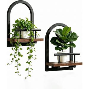 Amaoot Floating Shelves Set for 2, Wall Plant Holder Shelf, Wall Planters