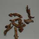 majoywoo Natural Small Driftwood for Aquarium Decor Reptile Decor, Assorted Driftwood Branch 2-4.5" 10 Pcs, Fish Tank Decorations
