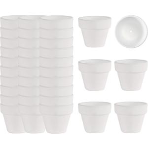 36 Mini White Flower Pots - 2 inch Clay, Cactus & Succulent Nursery Pots with Drainage Holes, Indoor/Outdoor Suitable
