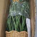 Artificial Plants Indoor with Pot, 17.3" Fake Potted Plants Artificial Onion Grass Plant with White Daisies Flowers and Butterflies Small Faux Plant Indoor for Home Living Room Table Shelf Decor