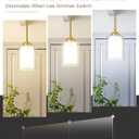 TENGXIN Modern Pendant Light,6-in Brushed Gold Modern Pendant Light for Kitchen Island,Hanging Ceiling Light Fixture,Farmhouse Pendant Lighting for Dining Room Bedroom Bar Office 2Pack,TXPLBG02-2PK-L