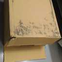 simplehuman 58 Liter / 15.3 Gallon Rectangular Hands-Free Dual Compartment Recycling Kitchen Step Trash Can with Soft-Close Lid, Brushed Stainless Steel