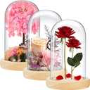 3 Pieces 8 x 4.7in Glass Cloche Display Dome, Decorative Glass Bell Jar with Solid Wood Base, Clear Cloche Dome Display Case for Home Decor, Craft, Plants, Light