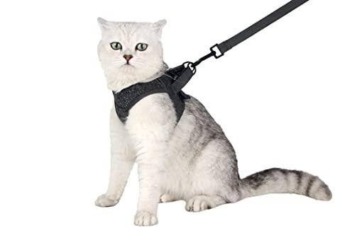 HEYWEAN Cat Harness and Leash - Ultra Light Escape Proof Kitten Collar Cat Walking Jacket with Running Cushioning Soft and Comfortable Suitable for Puppies Rabbits, L