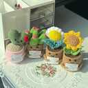 2 x Okra 4PCS Handmade Crochet Plants Set - Cactus & Sunflower, Emotional Support Crochet Doll | Small Gifts for Girlfriend, Women, Boyfriend, Husband & Friends, Positive Crochet Gifts for Her & Him