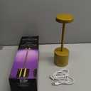 Mercury Metal LED Touch Lamp