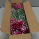 Yastouay Artificial Flowers for Outdoors, 12 Bundles Fake Outdoor Flowers, UV Resistant Artificial Petunias Fake Flowers, Purple Red Realistic Fake Plants for Porch Patio Garden Decor