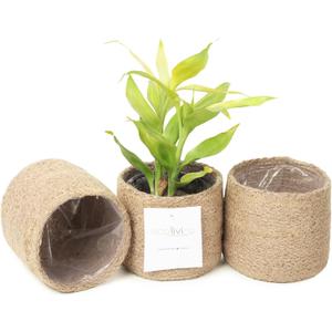 Jute Planter Basket-Woven Jute Rope Covers for Decorating Indoor/Outdoor Succulents, Small Plant Pots-Set of 3-Multi-Purpose Storage Bins 4.5 Inches -Modern Style Decor -Natural Jute