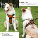 Taglory Light Up Dog Harness, Rechargeable No Pull Dog Vest with 3 Lightning Modes, Reflective Dog Harness with 2 Leash Clips & 4 Adjustable Slide Strips for Small Dogs, Orange-Orange, S