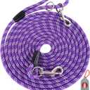 Heavy Duty Dog Leash for Large, Medium, Small Dogs -  Reflective Threads for Night Walking, Playing, Camping, or Yard (Purple), 10FT* 3/8 inch
