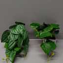 Der Rose 2Pcs Small Fake Plants Artificial Mini Faux Plants for Bathroom Office Desk Shelf Table Accessories Decor Indoor