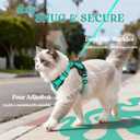 rabbitgoo Cat Harness and Leash for Walking, Escape Proof Soft Adjustable Vest Harnesses for Cats, Easy Control Breathable Reflective Strips Jacket, Emerald, Small