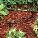 Rain Bird T22-100S Drip Irrigation 1/4" Blank Distribution Tubing, 100' Roll, Black