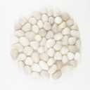 River Rocks - Natural Polished White Pebbles, 0.5-1 inch, 40 lbs - Perfect for Indoor Planting, Vase Filling, Aquarium Decoration, and Garden Landscaping (White, Weight: 40 LB)