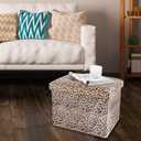 ALASDO Ottoman Storage Ottoman Footrest Stool Foldable Foot Rest Footstool Bench for Living Room 17x13x13inches Leopard Print