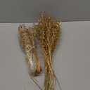 DILATATA 10 Pack Gold Baby's Breath Artificial Flowers Bulk 3 Branches Faux Baby Breath Plastic Flowers Fake Gypsophila Flower Arrangement Fake Flowers Bouquet for Wedding Home Decor