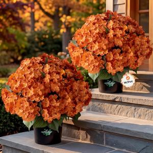 Auihiay 22" Tall Hydrangea Artificial Flowers with Pot for Outdoors