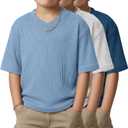 3 Pack Toddler Boys' Short Sleeve Tops, 3-Color, 2T
