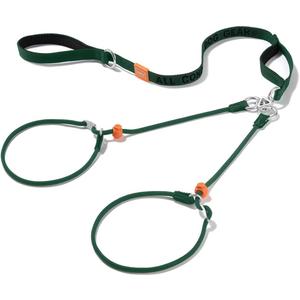 Howgo Double Slip Leash Slip Lead with Two Handles| Dual Dog Slip Lead for 2 Dogs,360 Swivel No Tangle | Dog Training Collar | Double Clip Leash Coupler and Splitter (Green, 6FT)