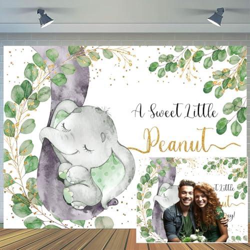 10x8ft Elephant Baby Shower Backdrop Green Leaves A Little Peanut is On The Way Photo Background Baby Shower Party Cute Elephant Party Decorations Banner Studio Props