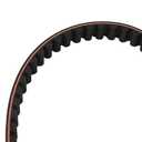 1-1/8" 137 Tooth Rear Drive Belt Compatible with 2004 2005 2006 Harley Davidson Sportster XL 1200 Replace 40571-04B 1204-0085