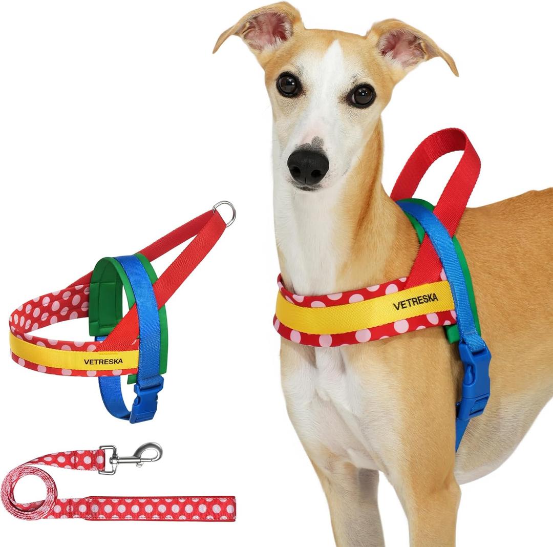 VETRESKA MoMA Dog Harness for Medium Large Dogs, Easy Walk Dog Harness and Leash Set, No Pull Dog Vest Harness for Walking and Training, Adjustable, Take Control & Anti-Twist Pet Lead Combo (Red, M) (M(Chest: 24.0"-31.9"))