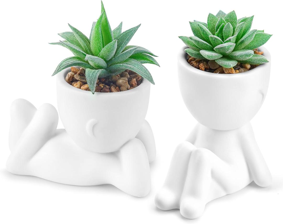 Der Rose Set of 2 Fake Plants Artificial Succulent Plants for Office Desk Accessories Bathroom Home Room Aesthetic Decor Indoor (White)