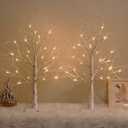White Birch Tree with LED Lights, Lighted Birch Tree for Tabletop, USB/Battery Operated 24 LED Warm White Tree, 2FT Mini Christmas Tree Decor for Indoor Home Christmas Decorations (2 Pack, Timer)