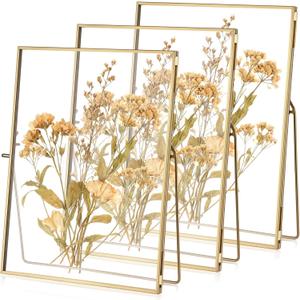 Vicenpal 3 Pack Glass Pressed Flower Frame Handmade, 6 x 8 Floating Picture Frames for Pressed Flowers, Brass Double Glass for Tabletop Display, Home Office Plant Specimen, Photos(Gold)