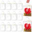 Ohuimrt 20 PCS Clear Plastic Gift Bags with Handles, Reusable Party Favor Bags with Ribbon Transparent Gift Wrap Bags Bulk for Weddings Birthdays, 7.9 x 9.84 x 3.15 Inches
