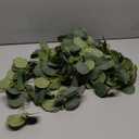 2 Pack Artificial Eucalyptus Garland Faux Silk Leaf Silver Dollar Eucalyptus Leaves Vines Handmade Garland Greenery Wedding Backdrop Indoor Outdoor Arch Wall Decoration