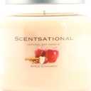 Scentsational Soaps & Candles Natural Soy Wax Candle Apple Cinnamon