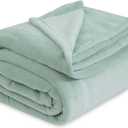 Bedsure GentleSoft Sage Green Fleece Blankets Queen Size - 280GSM Soft Lightweight Plush Cozy Blanket for Bed, Sofa, Couch, Travel, Camping (Queen (90" x 90"))