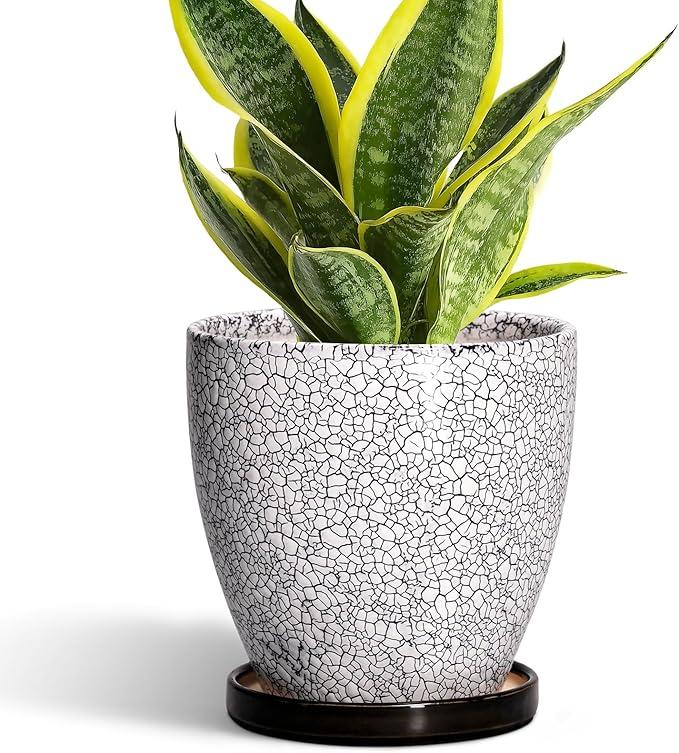 EPFamily Ceramic Planter - 6 Inch Plant Pot for Indoor Ourdoor Plants, Round Succulent Planter, Decorative Flower Pots with Drainage Hole and Saucer, Home Desk Decor, Housewarming Gifts, White-Black