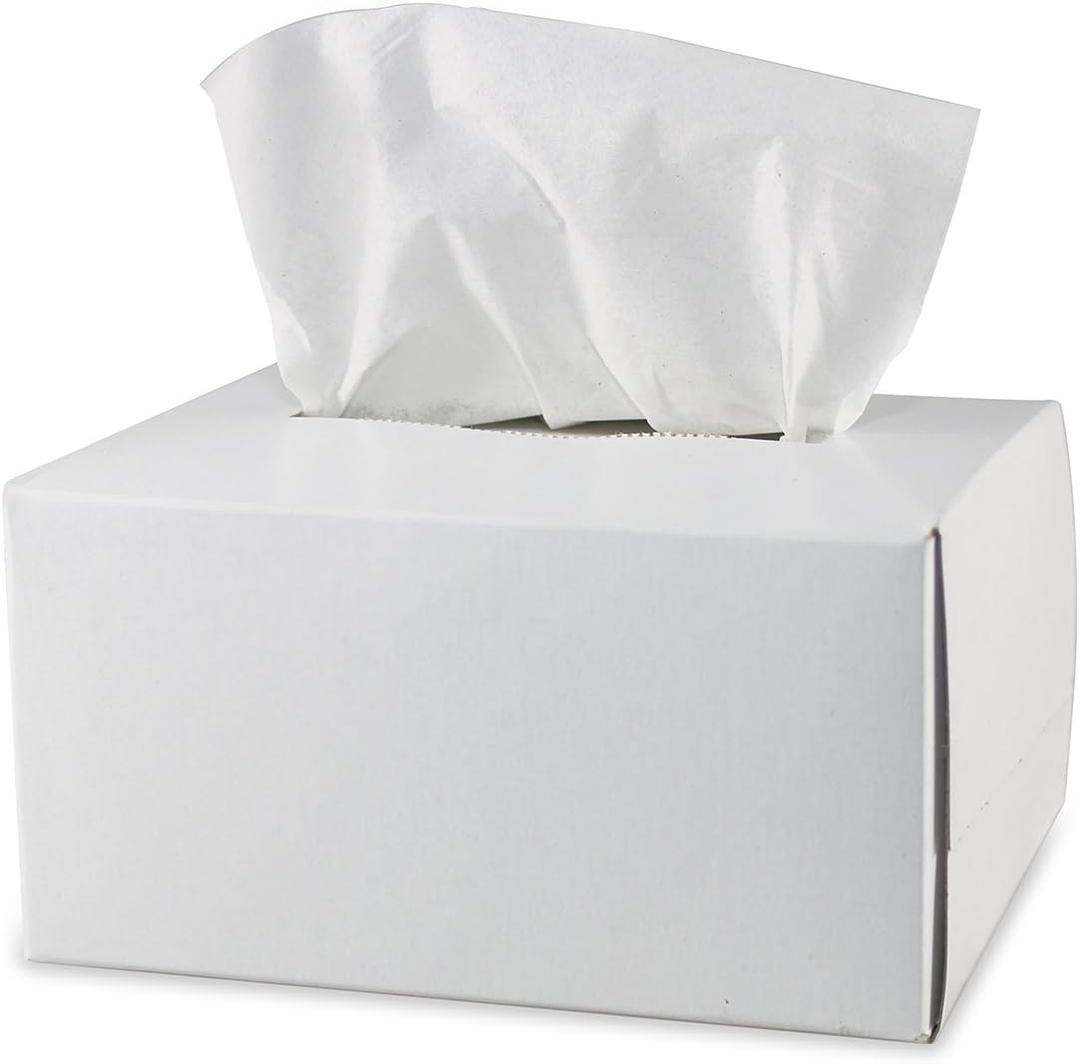 Pyramex Safety Products LT300 Lens Cleaning Tissues, Package of 300 White