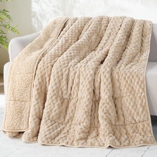 Drewin 20lbs Weighted Blanket Queen Size, Double-Sided Cozy Fluffy Jacquard Sherpa Weighted Blanket, Soft Adult Weighted Blankets for Couch Bed, Ceramic Beads, 60 x 80 inches, Beige