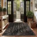 Ruaruarug Area Rug Non Slip Machine Washable Ultra Soft Living Room/Bedroom/Kitchen/Outdoor/Classroom Black Gold, 6'9'