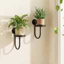 Leaf&lull Wall Plant Holder Planter with Wall Planters for Indoor Plants Plant Hanger Hanging Plant Holder Wall Hanging Decor 2 Pack Black