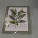 Gatheroad Vintage Botanical Wall Art Set of 4 - Sage Green Bathroom Wall Decor & French Country Kitchen Decor, 8x10 Antique Tree Branch & Leaf Pictures, Rustic Farmhouse Nature Prints (Unframed)