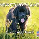 Newfoundland Calendar 2026 Newfie Monthly Wall Calender 12 Month | American Made In The USA