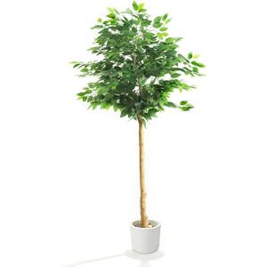 Homeplants Artificial Ficus Tree, 6Ft | White pot, adjustable realistic branches and leaves, indoor outdoor home decoration
