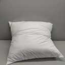 EDOW Throw Pillow Insert, LightweightSoft Polyester Down Alternative Decorative Pillow, Sham Stuffer, Machine Washable. (White, 18x18)