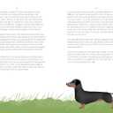 Sit, Stay, Grow: How Dogs Can Help You Worry Less and Walk Into a Better Future