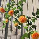 5.9FT Bendable Rose Flower Garlands, Artificial Silk Wild Roses Vine Hanging Flowers for Wall Fireplace Fence Trellis Wedding Baby Shower Home Spring Decor (Orange,2PC)