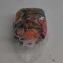 Lulu Home Inflatable T-Rex Costume for Boys Girls Dinosaur Themed Party Trick or Treat Activity (Small, Brown)