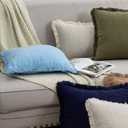 Set of 2 Fringe Throw Pillow Covers with Tassel Trim for Farmhouse Living Room,Soft Cotton & Cozy Linen, Boho Sytle Decorative Home (Baby Blue, 20x20 Inch)