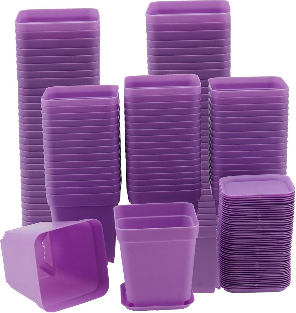 HOIGON 100 Pack 3 Inch Purple Square Nursery Pot, Durable Thickened Plastic Nursery Pots with Drain Holes, Small Square Planting Containers for Flower Tomatoes Basil