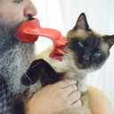 Lick'em Tongue Cat Scratcher Brush Combo Set  Funny Novelty Gag White Elephant Gift for Cat Lovers, Red, Model