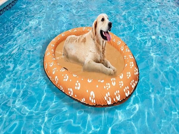 Ginkago Inflatable Pool Float for Adult Dogs and Puppies, Large Contemporary Modern Blue Pet Dog Swimming Pool Float Ride on Bathing
